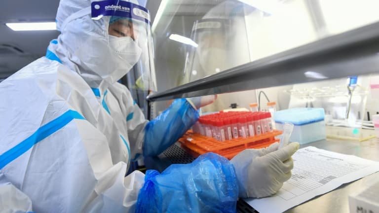 Découverte d’un nouveau coronavirus en Chine : les scientifiques alertent sur son potentiel pandémique