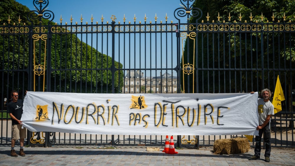 La loi Duplomb condamnée par le Conseil Constitutionnel : un affront aux citoyens et à l’environnement